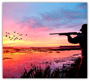 lake-shelbyville-illinois-hunting
