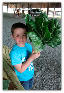 lake-shelbyville-illinois-local-farmers-market-3